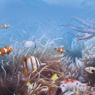 Коралловый рай