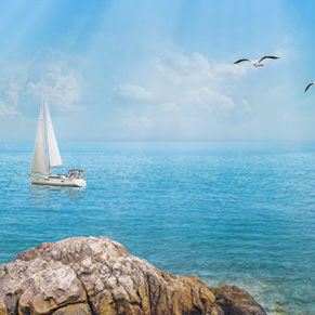 Парусники в бухте