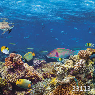 Подводная панорама