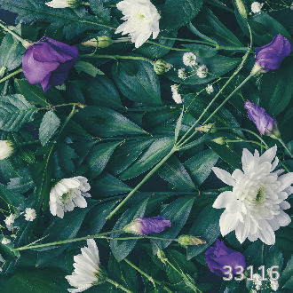 Фиолетовая эустома