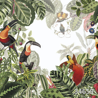 Экзотические птицы