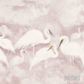 Цапли в невесомости