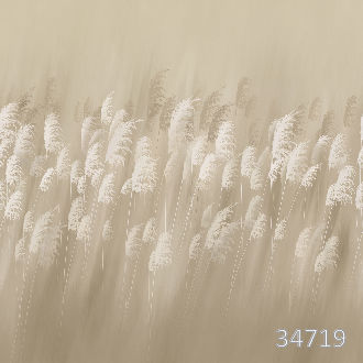 Поле с колосьями