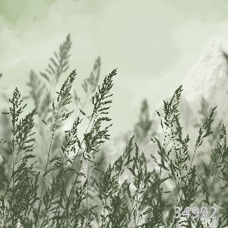 Июльский день