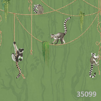 Лемуры в тропиках