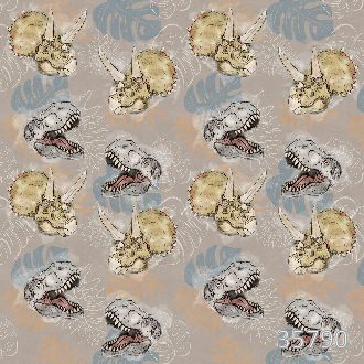 Фрагменты эволюции