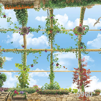 Вид на небо